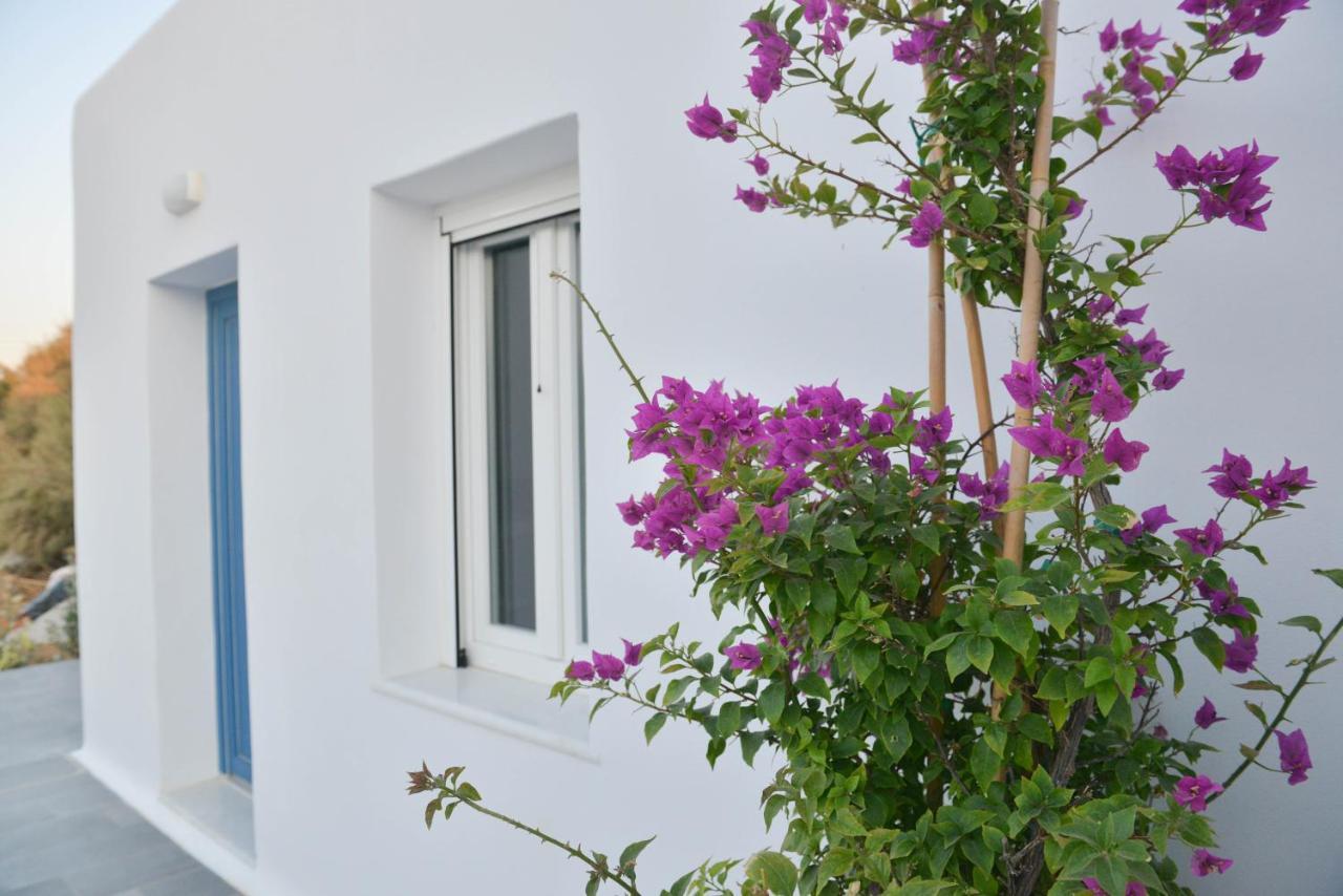 Blue Paradise Apartments Naxos City 外观 照片